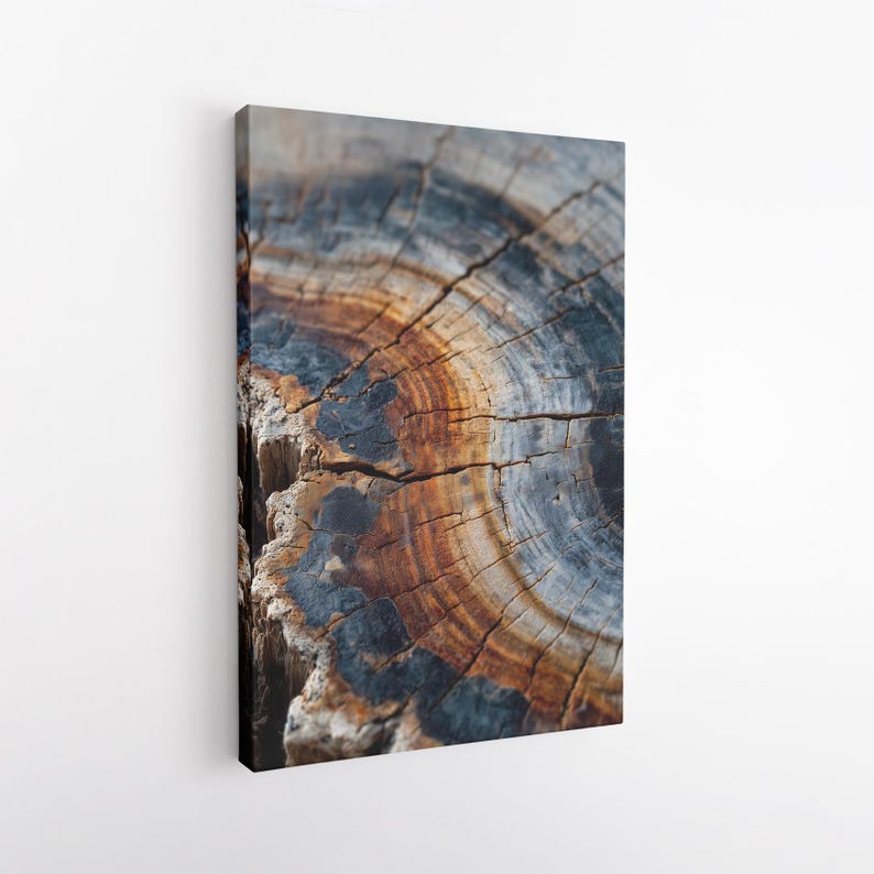 Petrified Wood Tree Ring Canvas Print | Abstract Wood Grain Wall Art Decor | Rustic Nature Print Boho