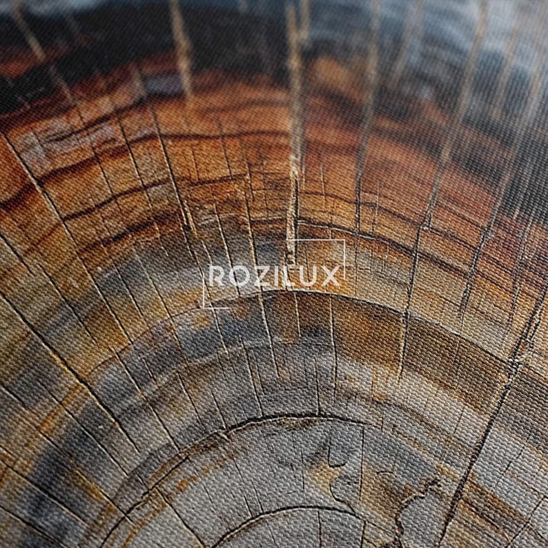 Petrified Wood Wall Art | Tree Ring Canvas Print | Abstract Nature Photography Print | Rustic Home Decor Boho