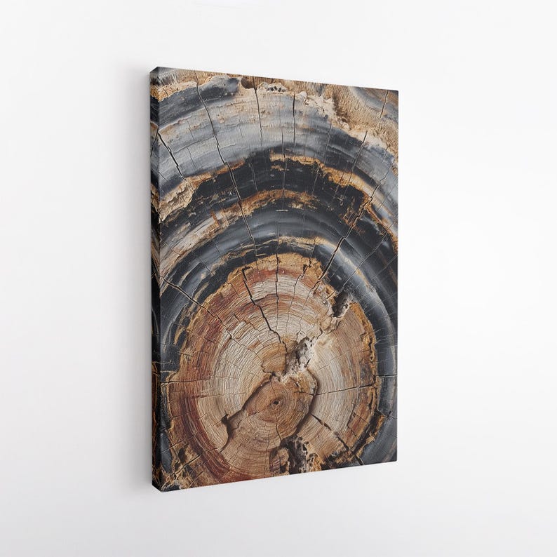 Petrified Wood Tree Ring Canvas Print | Abstract Rustic Wall Art | Natural Earthy Home Decor Boho