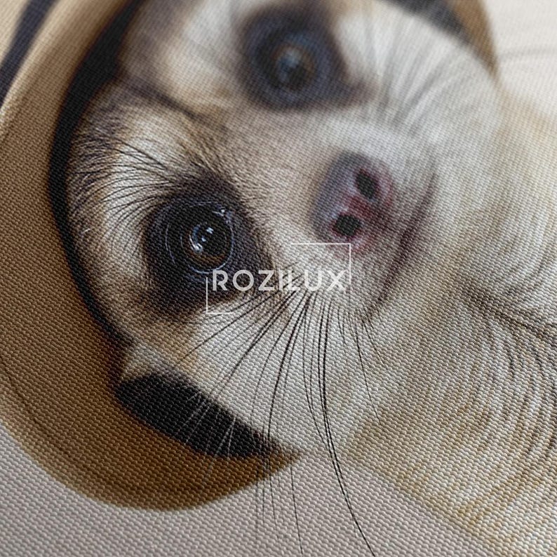 Meerkat with Hat Canvas Print | Cute Animal Wall Art for Nursery Kids Room Decor | Whimsical Animal Portrait Gift