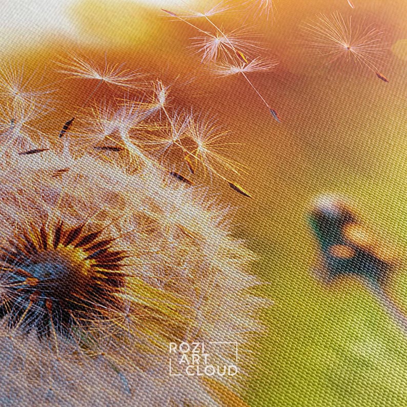 Dandelion flower wall art, flower canvas print, nature wall decor, green landscape artwork