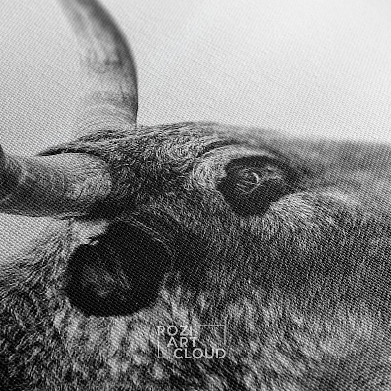 Longhorn cattle canvas print, affordable farmhouse decor, animal wall art, black and white canvas, nature art prints, cow canvas