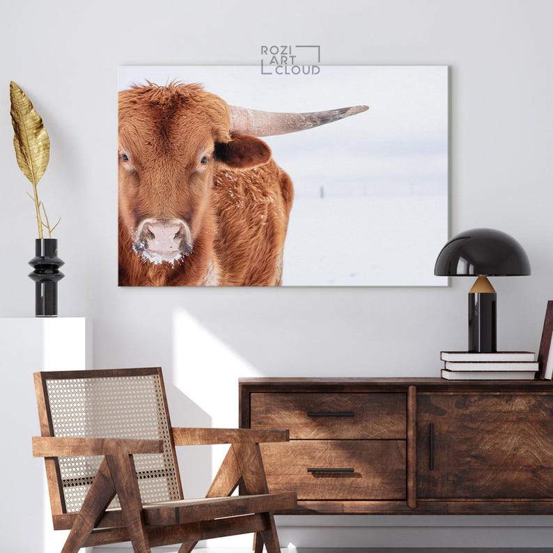 Longhorn steer wall art, farmhouse style artwork, animal canvas prints, wall hanging for living room, white snow art prints