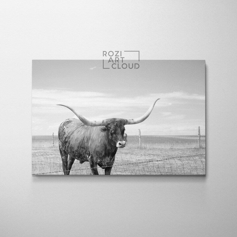 Texas cattle prints for bedroom, animal canvas art, modern home decor, black and white hanging, oversized wall art