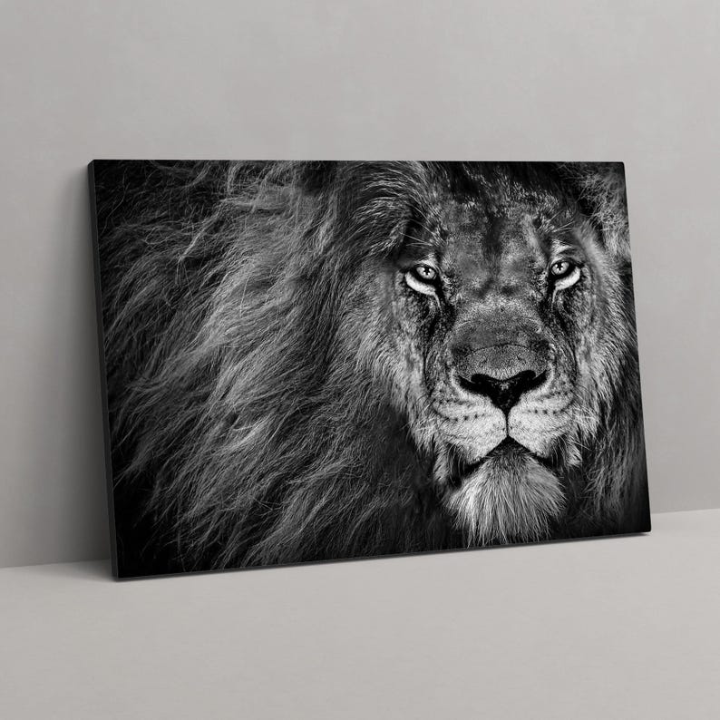 Lion wall art, black and white canvas print, elegant room decor, modern wall art for living room, animal art print, friend gifts