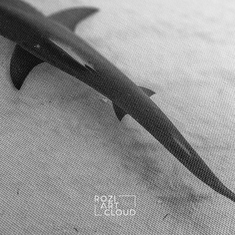 Hammerhead shark art prints, ocean canvas art, fish poster print, black and white canvas, large modern art, wall decor living room