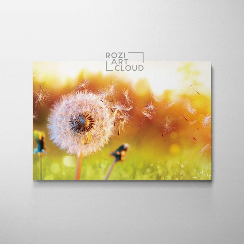 Dandelion flower wall art, flower canvas print, nature wall decor, green landscape artwork