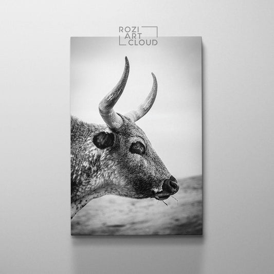 Longhorn cattle canvas print, affordable farmhouse decor, animal wall art, black and white canvas, nature art prints, cow canvas