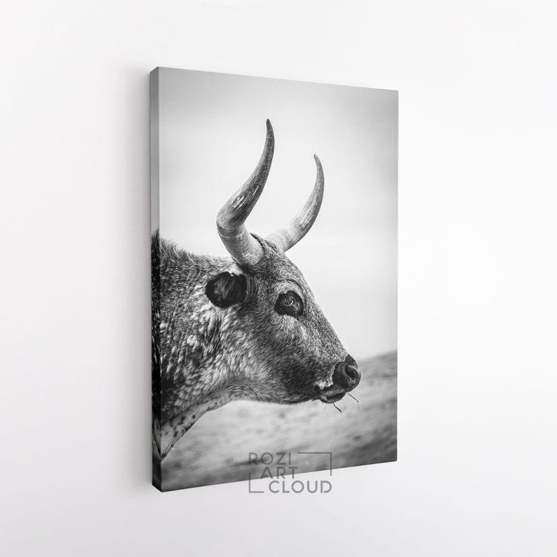 Longhorn cattle canvas print, affordable farmhouse decor, animal wall art, black and white canvas, nature art prints, cow canvas