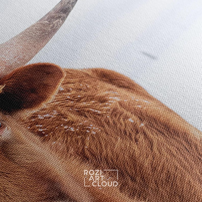 Longhorn steer wall art, farmhouse style artwork, animal canvas prints, wall hanging for living room, white snow art prints