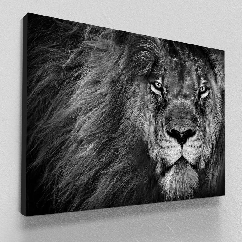 Lion wall art, black and white canvas print, elegant room decor, modern wall art for living room, animal art print, friend gifts