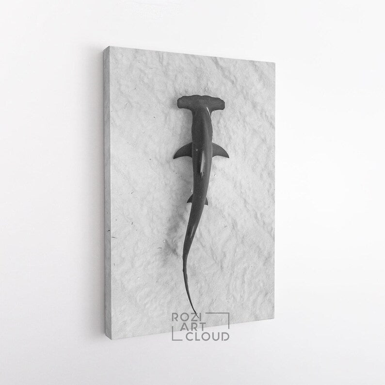 Hammerhead shark art prints, ocean canvas art, fish poster print, black and white canvas, large modern art, wall decor living room
