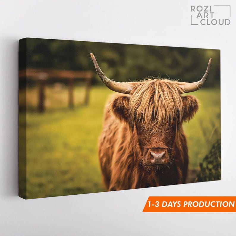 Scottish highland cow wall art, farmhouse style artwork, animal canvas prints, wall hanging for living room, nature art prints
