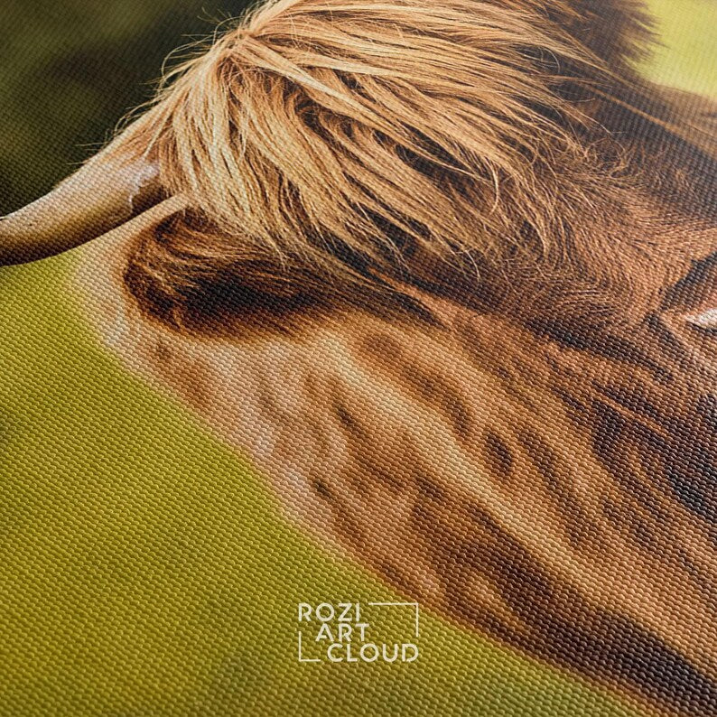 Scottish highland cow wall art, farmhouse style artwork, animal canvas prints, wall hanging for living room, nature art prints