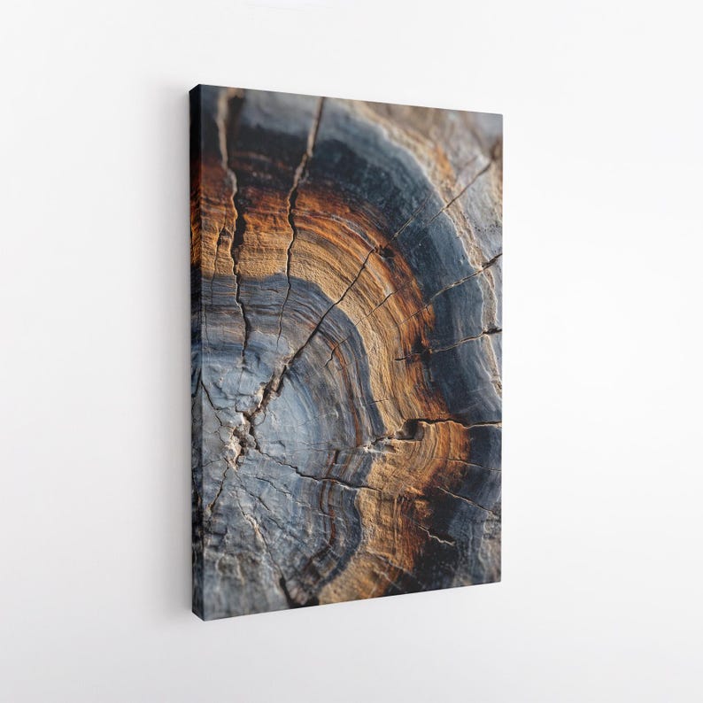 Petrified Wood Tree Ring Canvas Print | Abstract Wood Grain Wall Art Decor Boho
