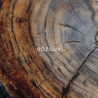 Petrified Wood Tree Ring Canvas Print | Natural Abstract Wall Art | Rustic Earthy Decor | Ready to Hang Unique Art