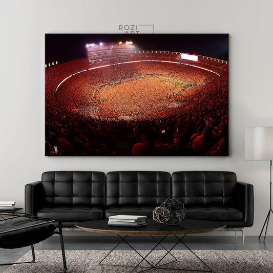 Tennessee vols wall art framed canvas print, university of tennessee neyland stadium poster